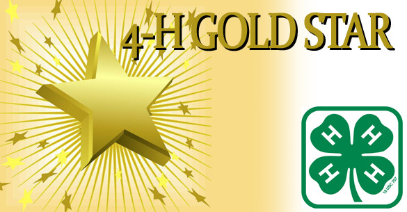 4-H Gold Star